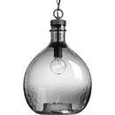 Progress Lighting Graphite 13 in. 100W 1-Light Medium E-26 Incandescent Pendant Light 