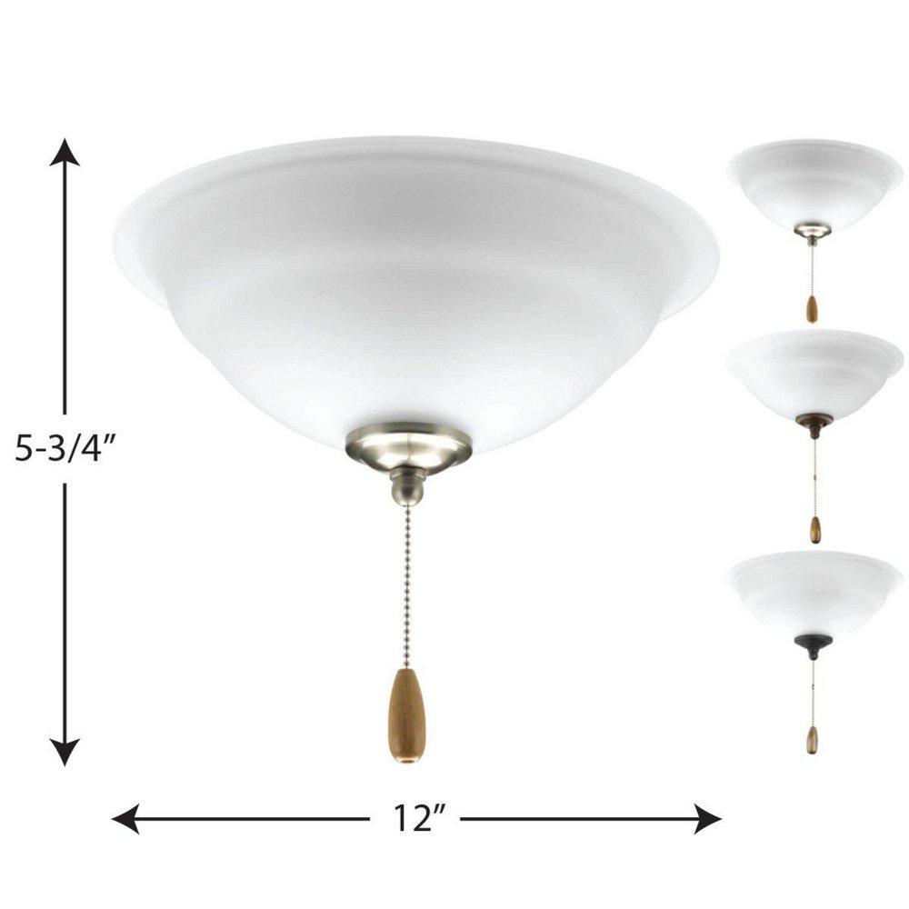 Progress Lighting Unfinished 20W 2-Light Medium E-26 LED Ceiling Fan Light Kit with Etched 