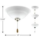Progress Lighting Unfinished 20W 2-Light Medium E-26 LED Ceiling Fan Light Kit with Etched 