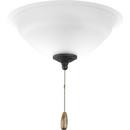Progress Lighting Unfinished 20W 2-Light Medium E-26 LED Ceiling Fan Light Kit with Etched 
