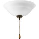 Progress Lighting Unfinished 20W 2-Light Medium E-26 LED Ceiling Fan Light Kit with Etched 