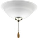 Progress Lighting Unfinished 20W 2-Light Medium E-26 LED Ceiling Fan Light Kit with Etched 