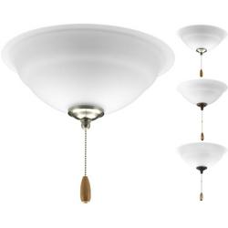 20W 2-Light Medium E-26 LED Ceiling Fan Light Kit with Etched in Unfinished