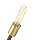 Progress Lighting Antique Bronze 60W 6-Light Medium E-26 Incandescent Chandelier 