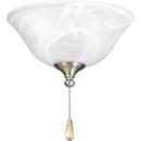 Progress Lighting Unfinished 20W 2-Light LED Ceiling Fan Light Kit with Alabaster 