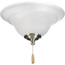 Progress Lighting White 10W 2-Light Medium E-26 Ceiling Fan Light Kit 