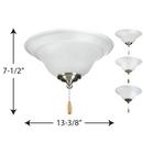 Progress Lighting White 10W 2-Light Medium E-26 Ceiling Fan Light Kit 