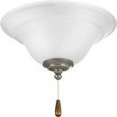 Progress Lighting White 10W 2-Light Medium E-26 Ceiling Fan Light Kit 