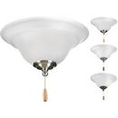 Progress Lighting White 10W 2-Light Medium E-26 Ceiling Fan Light Kit 