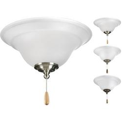 10W 2-Light Medium E-26 Ceiling Fan Light Kit in White