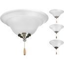 Progress Lighting White 10W 2-Light Medium E-26 Ceiling Fan Light Kit 