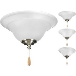 10W 2-Light Medium E-26 Ceiling Fan Light Kit in White