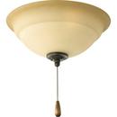 18W 2-Light Medium E-26 LED Ceiling Fan Light in Forged Bronze