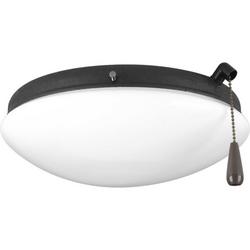 20W 2-Light Medium E-26 LED Ceiling Fan Light in Forged Black