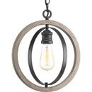 Progress Lighting Graphite 12 in. 60W 1-Light Medium E-26 Incandescent Pendant Light 