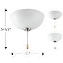 Progress Lighting Unfinished 20W 2-Light Medium E-26 LED Ceiling Fan Light Kit with Etched 
