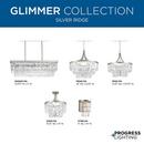 Progress Lighting Silver Ridge 60W 4-Light Medium E-26 Incandescent Chandelier 