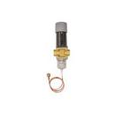 Danfoss 232 psig Brass NPT Pressure Reducing Valve 