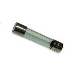 10A 250V Fuse