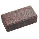 Anchor Block Company Autumn Blend 3-1/8 x 10 x 5 in. Concrete Paver 