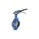 6 in. Ductile Iron Buna-N Lever Handle Butterfly Valve