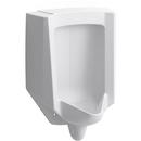Urinal in White 