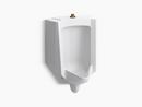1 gpf Wall Mount Vitreous China Antimicrobial Top Spud Urinal (1-Piece) in White