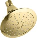 Single Function Showerhead in Vibrant Polished Brass