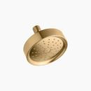 Single Function Air Showerhead in Vibrant Moderne Brushed Gold
