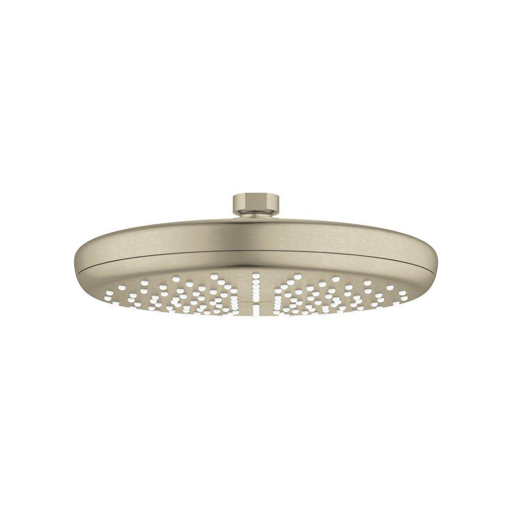 GROHE StarLight&reg; Brushed Nickel Single Function Rain Showerhead 
