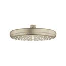 GROHE StarLight&reg; Brushed Nickel Single Function Rain Showerhead 