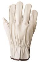 Ironwear Alabaster Pig and Buffalo Driver Glove 10 Dozen 