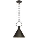 Visual Comfort & Co. Signature Natural Rusted Iron 1-Light Medium E-26 Pendant 