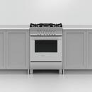 Fisher & Paykel Stainless Steel 35-7/8 in. Gas 5-Burner Sealed Freestanding Range 