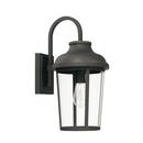 100W 1-Light Medium E-26 incandescent Outdoor Wall Sconce in Oiled Bronze