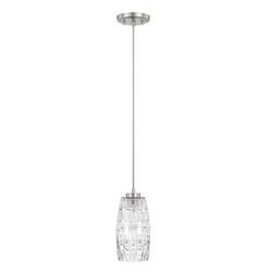 100W 1-Light Medium E-26 Incandescent Pendant Light in Brushed Nickel
