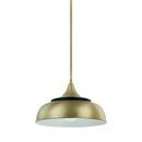 14-1/2 in. 60W 1-Light Medium E-26 Incandescent Pendant in Brass with Onyx