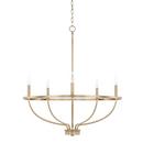 60W 5-Light Candelabra E-12 Incandescent Chandelier in Aged Brass