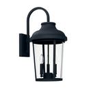 60W 3-Light Candelabra E-12 Incandescent Outdoor Wall Sconce in Black
