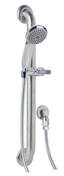 Symmons Industries Polished Chrome Single Function Hand Shower 