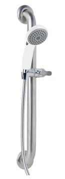 2.0 gpm Single Function Hand Shower in White