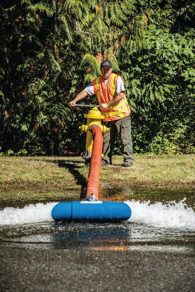 Pollardwater Blue FNST Flushing Diffuser 