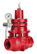 2 in. Ductile Iron FNPT Gas Regulator Valve