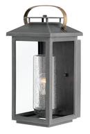 100W 1-Light Outdoor Wall Lantern in Ash Bronze