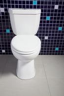 Niagara White 0.95 gpf Toilet Tank 