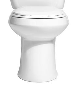 Round Toilet Bowl in White