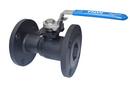 FNW&reg; Carbon Steel Reduced Port Flanged 150# Ball Valve 