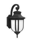 Visual Comfort & Co. Generation Lighting Black LARGE ONE LIGHT OUTDOOR WALL LANTERN 