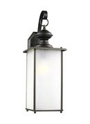 Visual Comfort & Co. Generation Lighting Antique Bronze ONE LIGHT OUTDOOR WALL LANTERN 