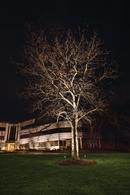 Kichler Lighting Textured Architectural Bronze 20.9W 1-Light LED Landscape Accent Light 